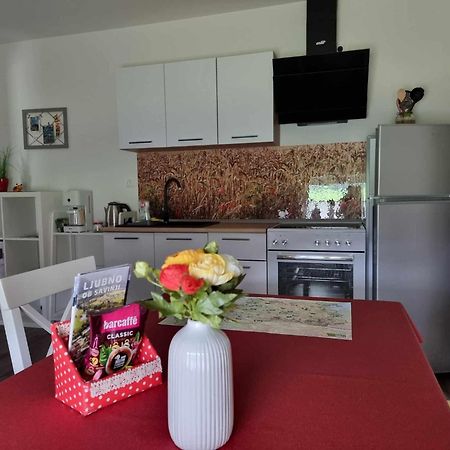 Apartmaji Ribic Ljubno Bagian luar foto