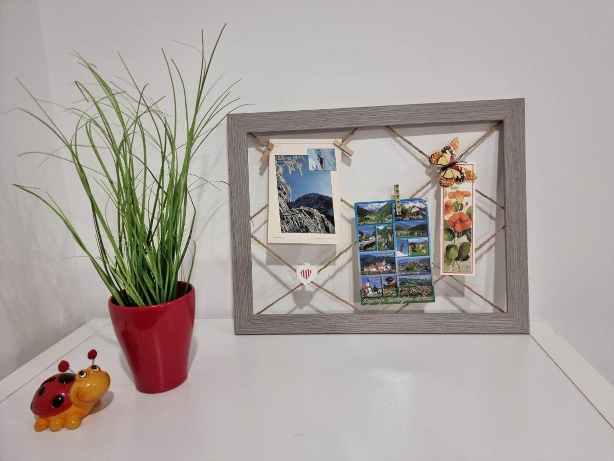 Apartmaji Ribic Ljubno Bagian luar foto