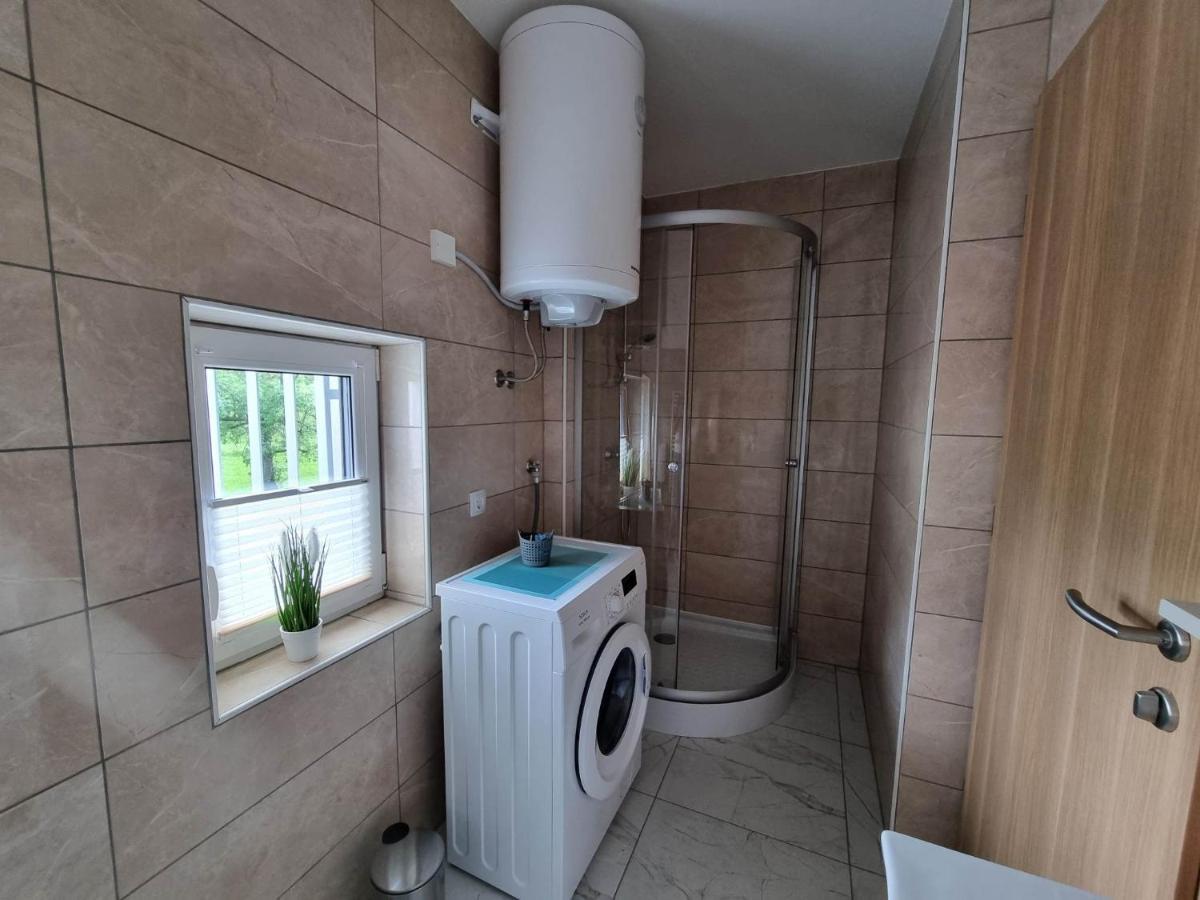 Apartmaji Ribic Ljubno Bagian luar foto