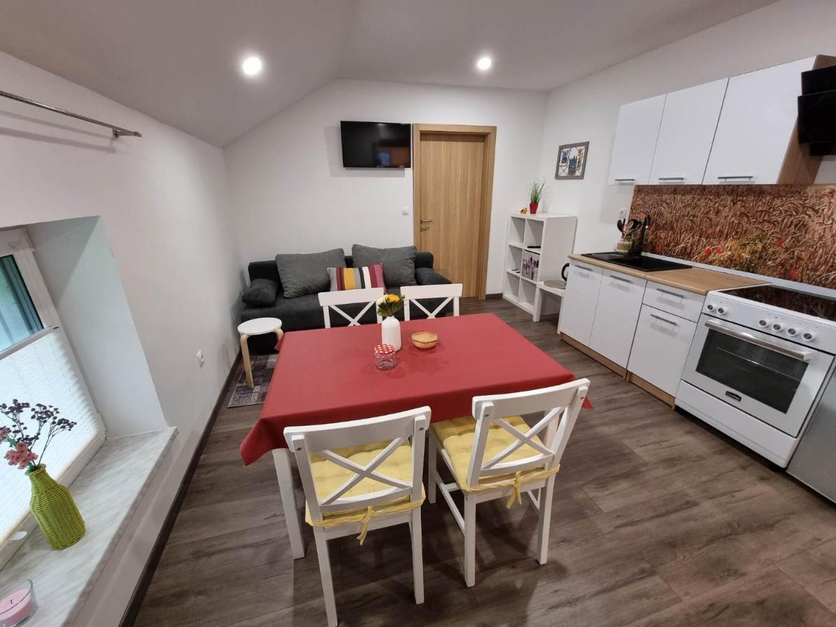 Apartmaji Ribic Ljubno Bagian luar foto