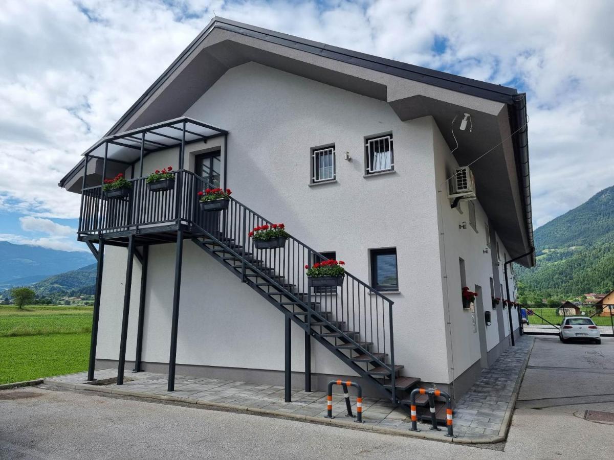 Apartmaji Ribic Ljubno Bagian luar foto