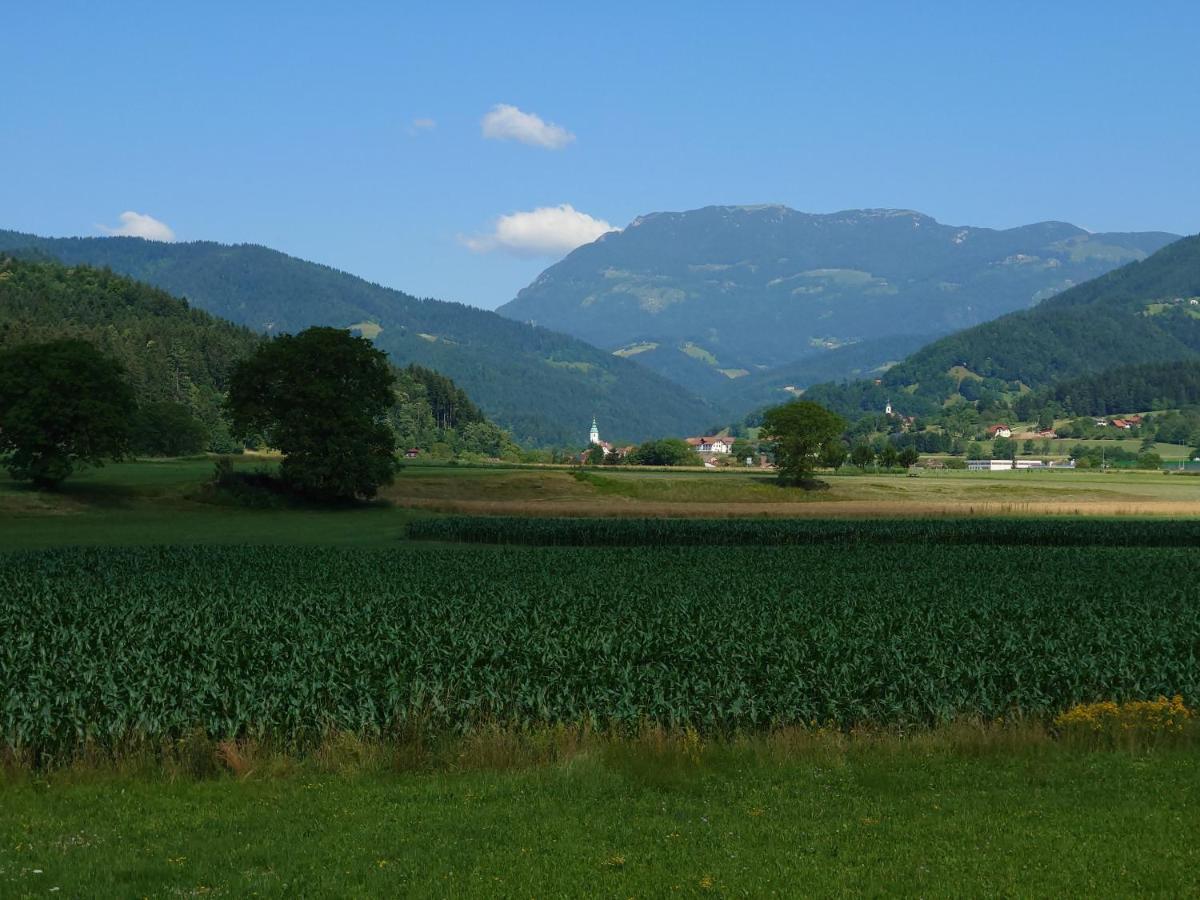 Apartmaji Ribic Ljubno Bagian luar foto