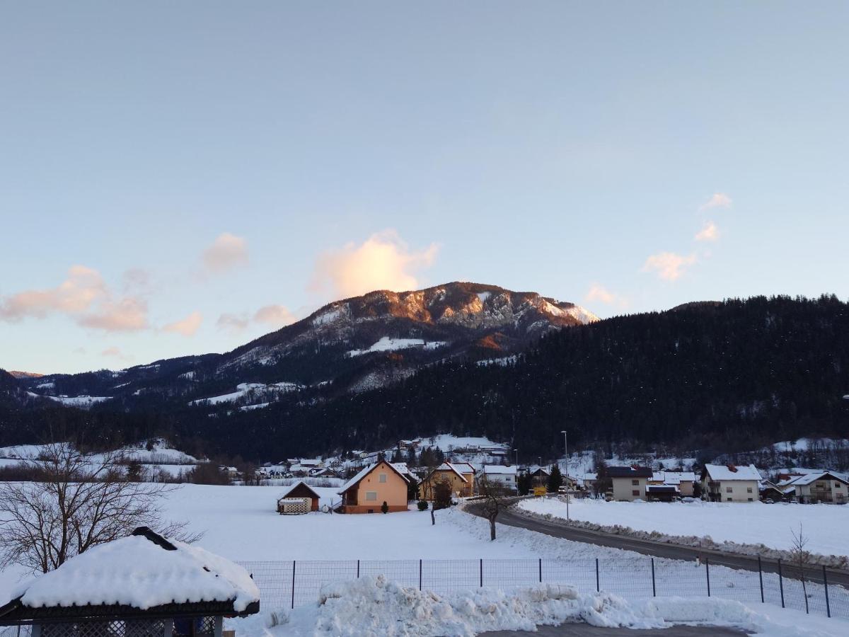 Apartmaji Ribic Ljubno Bagian luar foto