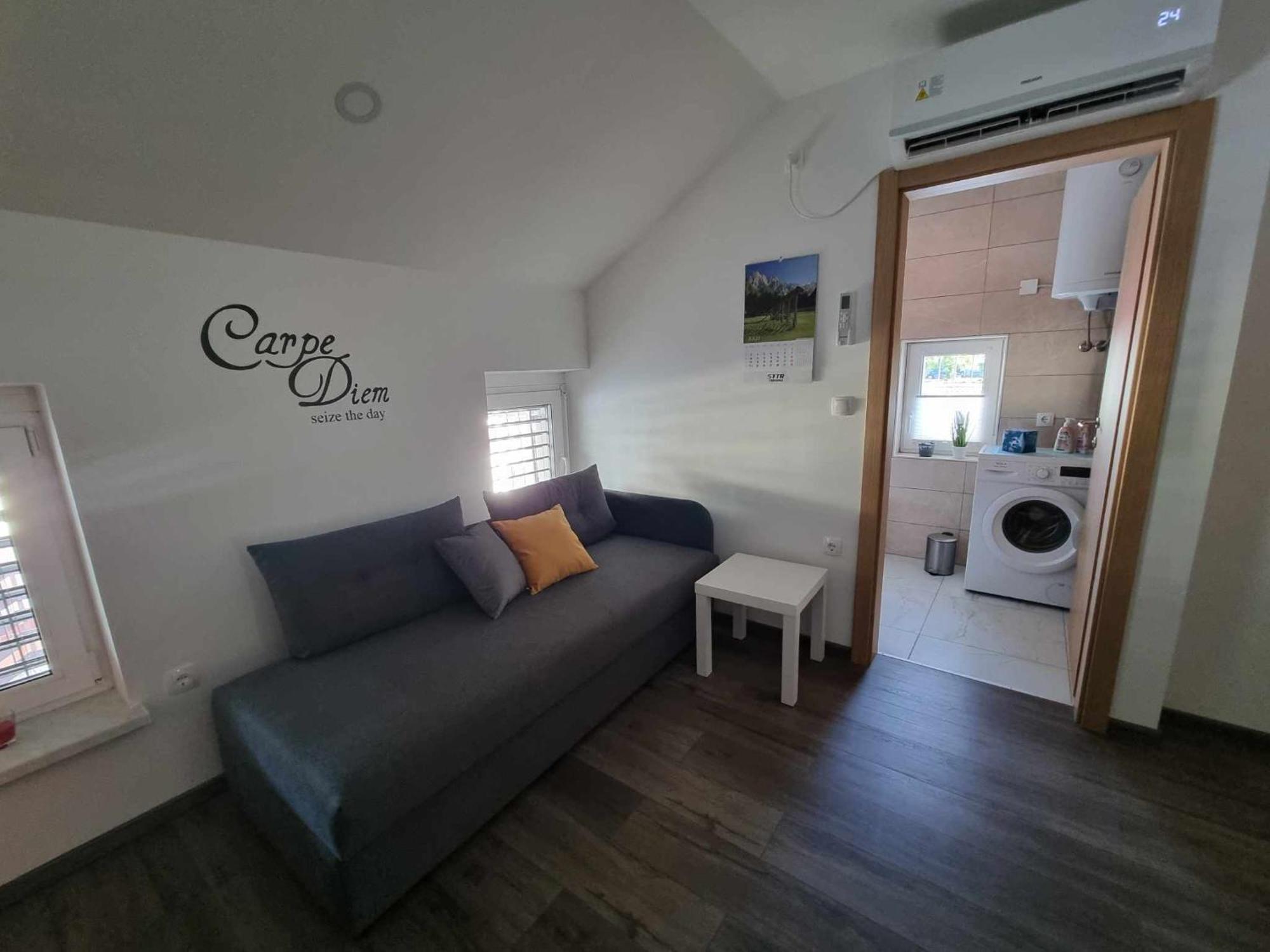 Apartmaji Ribic Ljubno Bagian luar foto