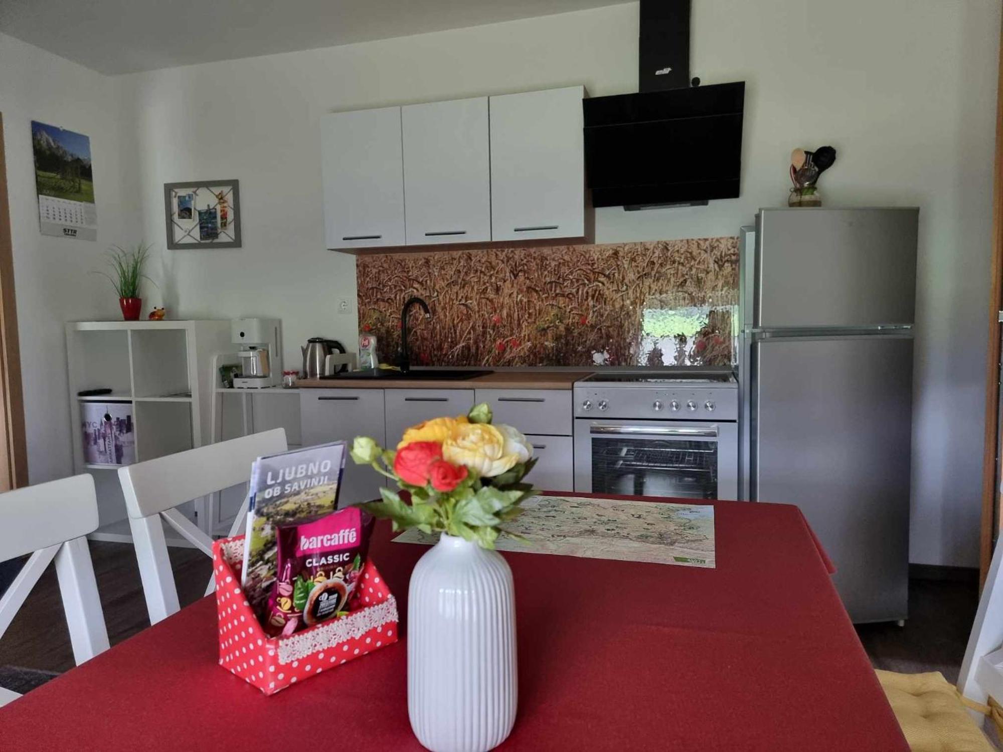 Apartmaji Ribic Ljubno Bagian luar foto